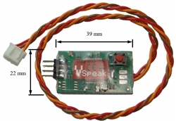 VSpeak Modell Flow Meter